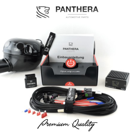 Active Sound System PANTHERA LEO ASC 7.2 (2 générateurs)