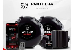 Active Sound System PANTHERA LEO ASC 7.2 (2 générateurs)