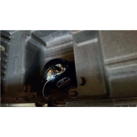 Active Sound System PANTHERA LEO ASC 7.1 (1 générateur + BOOST)