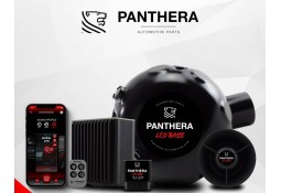 Active Sound System PANTHERA LEO ASC 7.1 (1 générateur + BOOST)