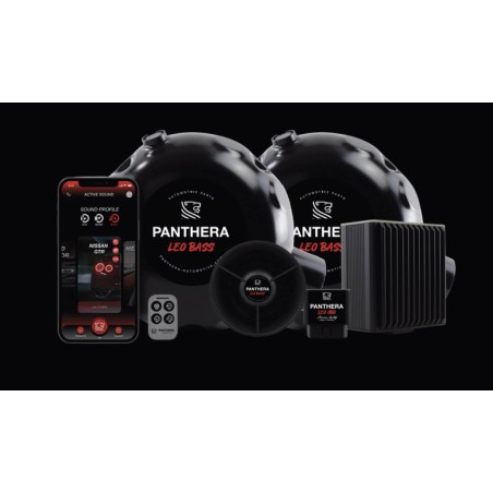 Active Sound System PANTHERA LEO ASC 7.3 (2 générateurs + BOOST)