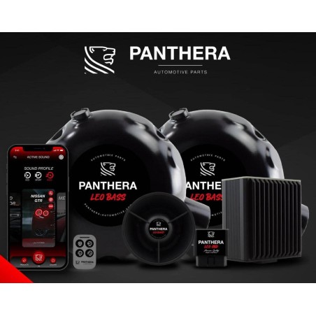 Active Sound System PANTHERA LEO ASC 7.3 (2 générateurs + BOOST)