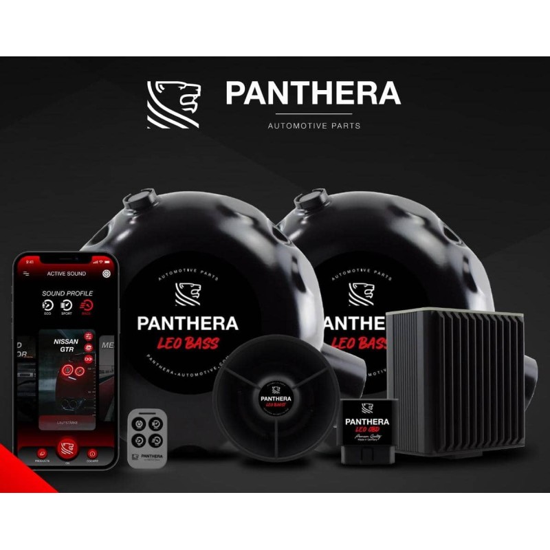Active Sound System PANTHERA LEO ASC 7.3 (2 générateurs + BOOST)