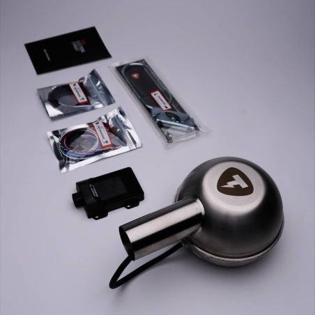 Active Sound Booster PORSCHE TAYCAN / 4 / 4S / GTS / Turbo + S & Cross Turismo (2019+) (THOR Tuning)