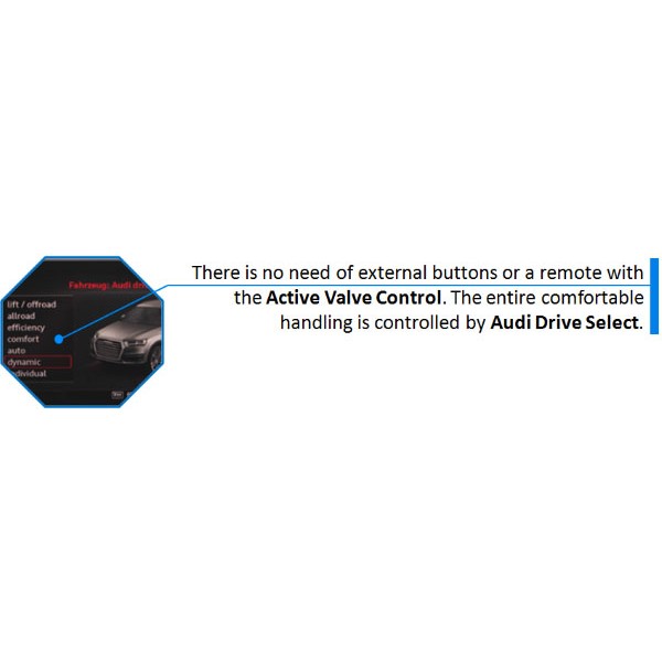 Module Active Valve Control Echappement Audi S3 8V / RS3 8V (CETE AUTOMOTIVE)