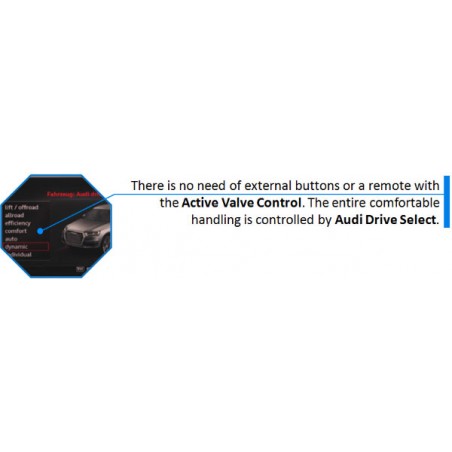 Module Active Valve Control Echappement Audi S3 8V / RS3 8V (CETE AUTOMOTIVE)