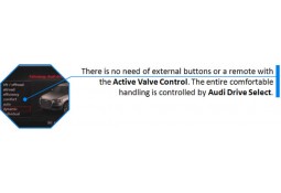 Module Active Valve Control Echappement Audi RS5 B8 (CETE AUTOMOTIVE)