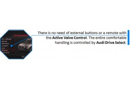 Module Active Valve Control Echappement Audi SQ8 TFSI / RSQ8 TFSI (CETE AUTOMOTIVE)