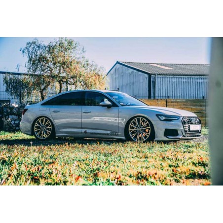 Module Active Suspension Audi A6/S6/RS6 4F (C6) (CETE AUTOMOTIVE)