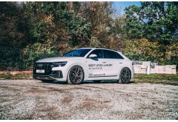 Module Active Suspension Audi Q8/SQ8/RSQ8 4M F1 (CETE AUTOMOTIVE)