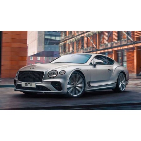 Module Active Suspension Bentley Continental GT3 (CETE AUTOMOTIVE)